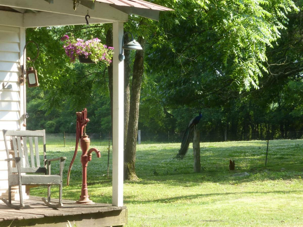 Mulberry Lavender Farm And B&B 외부 사진