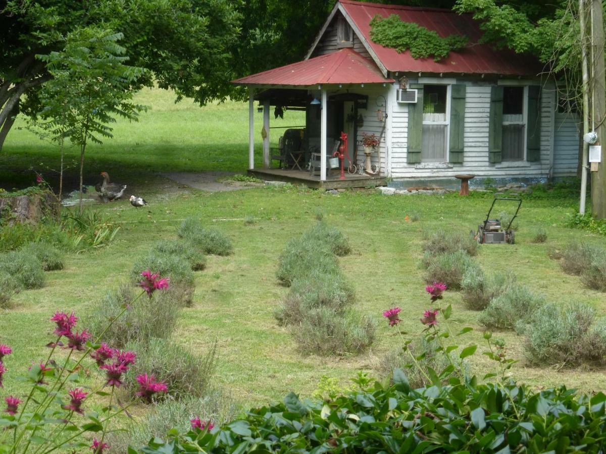 Mulberry Lavender Farm And B&B 외부 사진